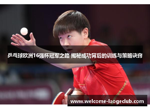 乒乓球欧洲16强杯冠军之路 揭秘成功背后的训练与策略诀窍