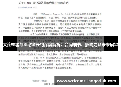 大连鲲城与穆谢奎长约深度解析：合同细节、影响力及未来展望