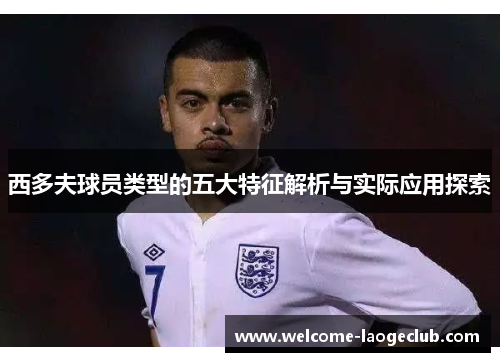 西多夫球员类型的五大特征解析与实际应用探索 西多夫球员类型的五大特征解析与实际应用探索