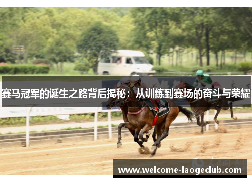 赛马冠军的诞生之路背后揭秘：从训练到赛场的奋斗与荣耀