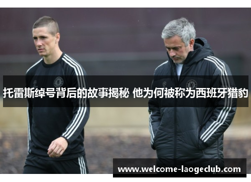 托雷斯绰号背后的故事揭秘 他为何被称为西班牙猎豹