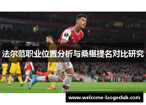 法尔范职业位置分析与桑椹提名对比研究 法尔范职业位置分析与桑椹提名对比研究