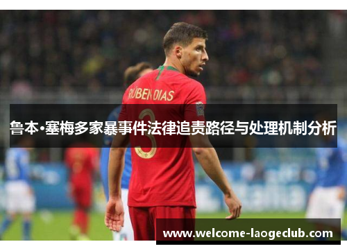 鲁本·塞梅多家暴事件法律追责路径与处理机制分析