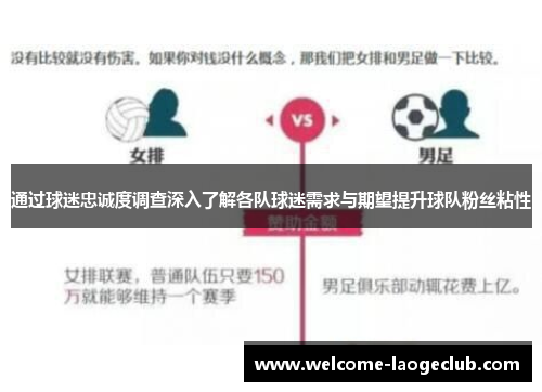 通过球迷忠诚度调查深入了解各队球迷需求与期望提升球队粉丝粘性